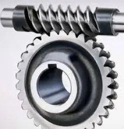 Worm Gear