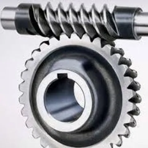 GEAR Worm Gear 1 spur_gear